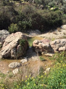 ruta-senderismo-marzo-hotel-el-corte-03